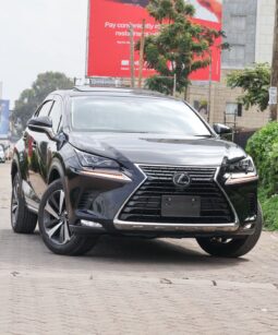 Lexus NX300