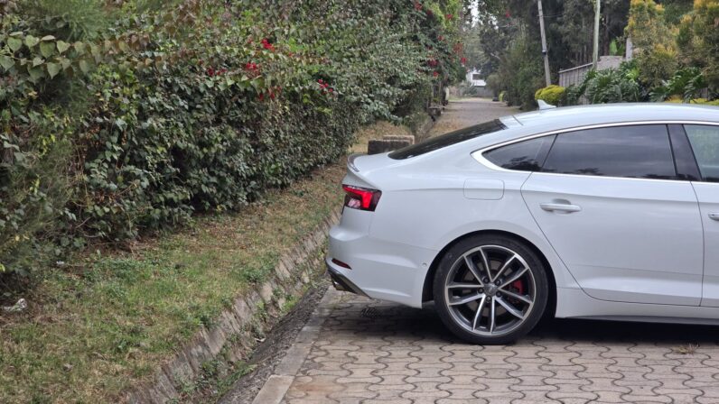 
								Audi S5 full									
