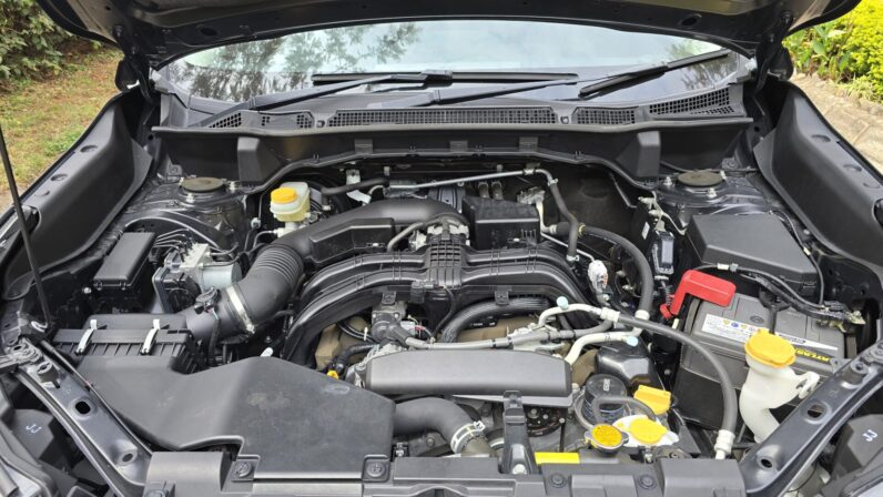 
								Subaru Forester full									