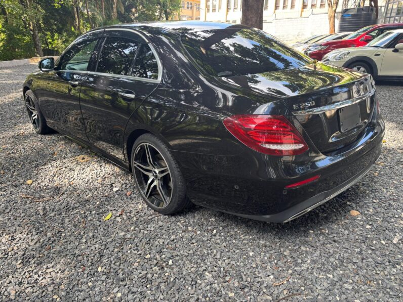 
								Mercedes Benz E250 full									
