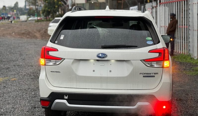 
								Subaru Forester full									