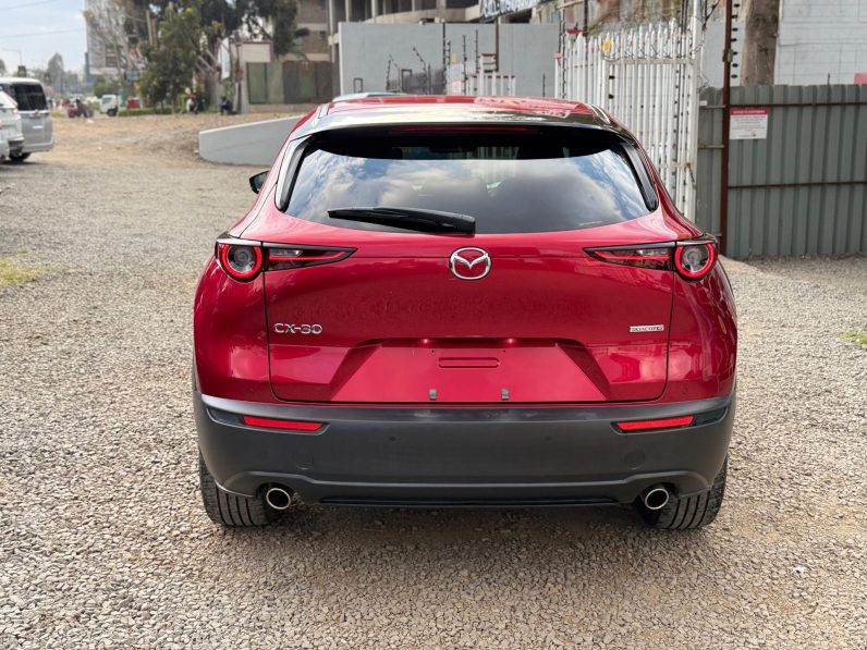 
								Mazda-CX30 full									