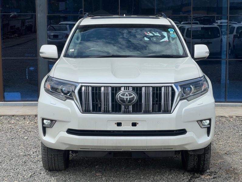 
								Toyota Land Cruiser Prado TZG full									