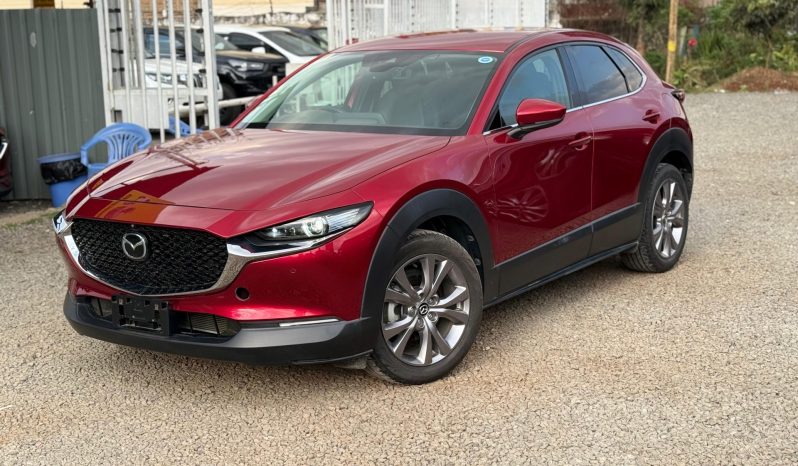 
								Mazda-CX30 full									