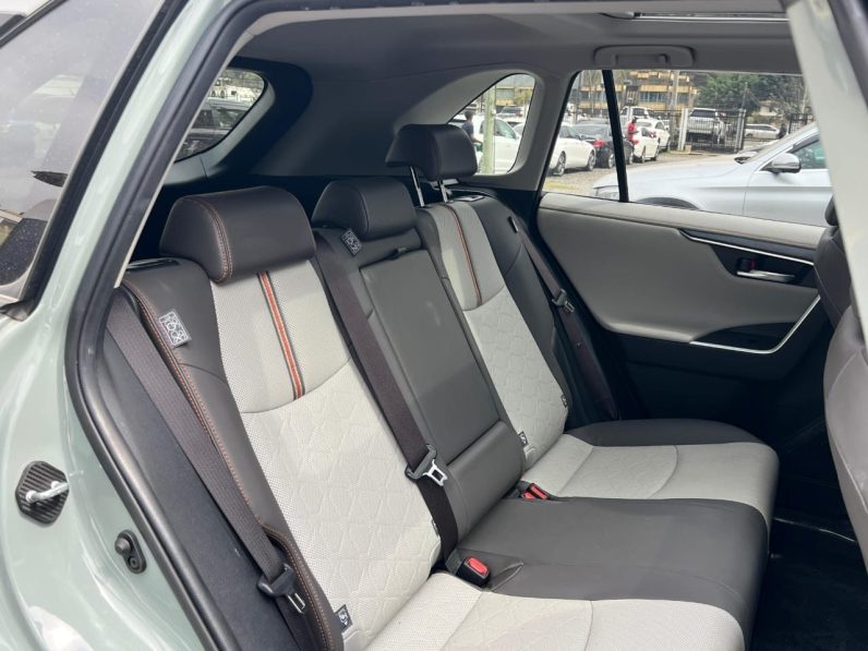 
								Toyota RAV4 Adventure full									