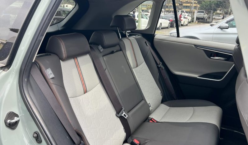 
								Toyota RAV4 Adventure full									