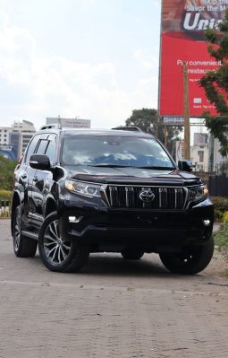 Toyota Land Cruiser TX