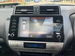 Toyota Land Cruiser TX