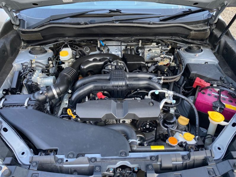 
								Subaru Forester full									