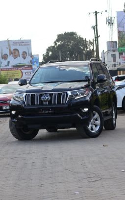 Land Cruiser Prado TX