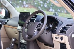 Land Cruiser Prado TX