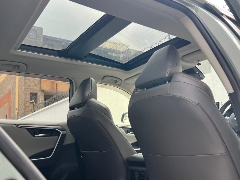 
								Toyota RAV4 Adventure full									