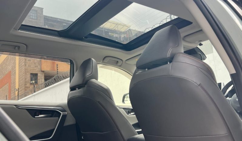 
								Toyota RAV4 Adventure full									