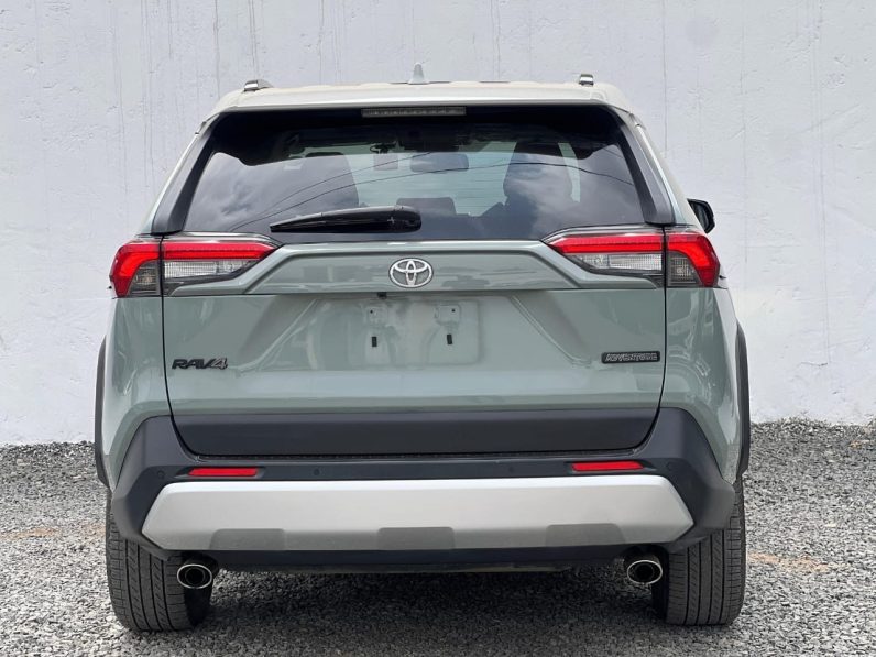 
								Toyota RAV4 Adventure full									