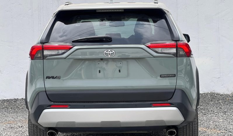 
								Toyota RAV4 Adventure full									