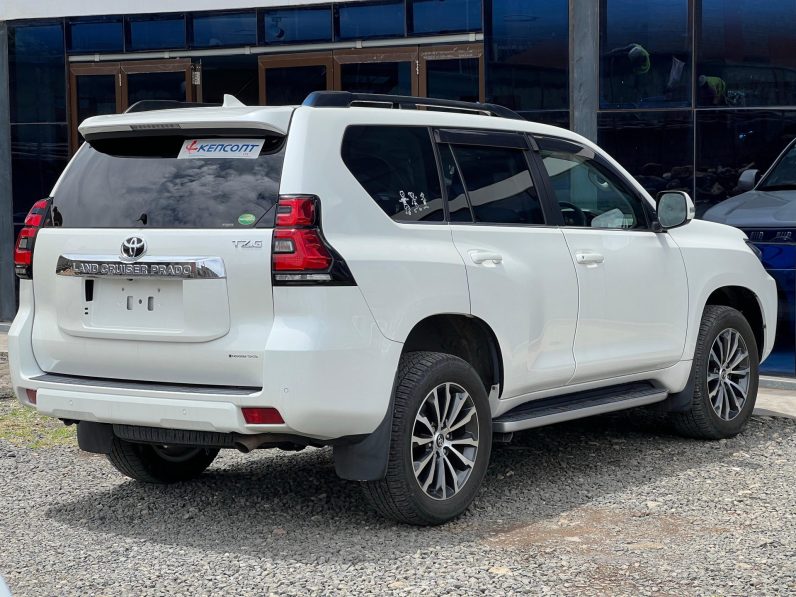 
								Toyota Land Cruiser Prado TZG full									