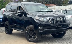 Toyota Land Cruiser Prado TX