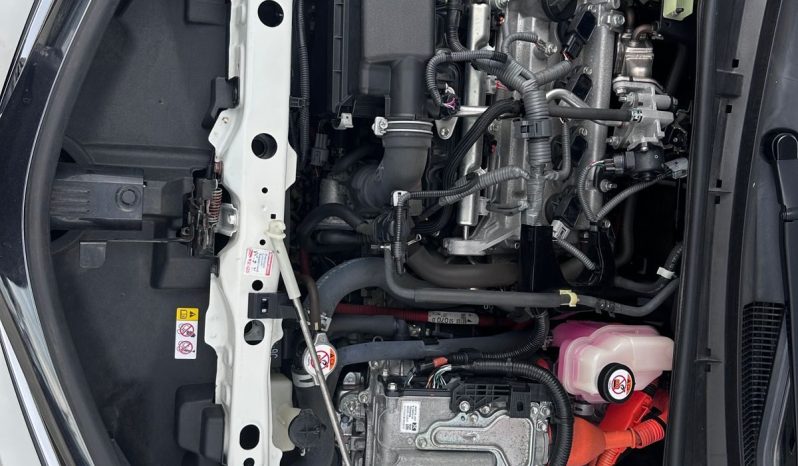 
								Toyota Fielder WXB full									