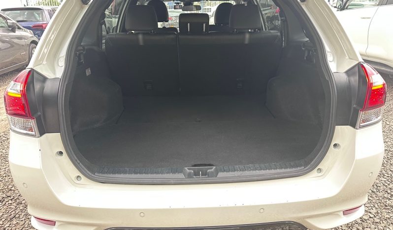 
								Toyota Fielder WXB full									