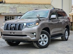 Toyota LandCruiser TXL