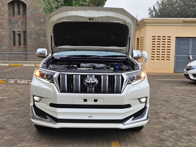 
								Toyota land Cruiser prado TZG full									