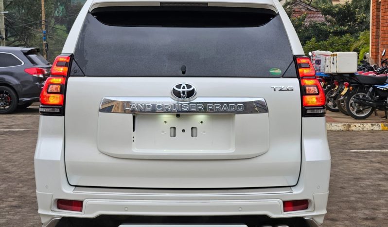 
								Toyota land Cruiser prado TZG full									