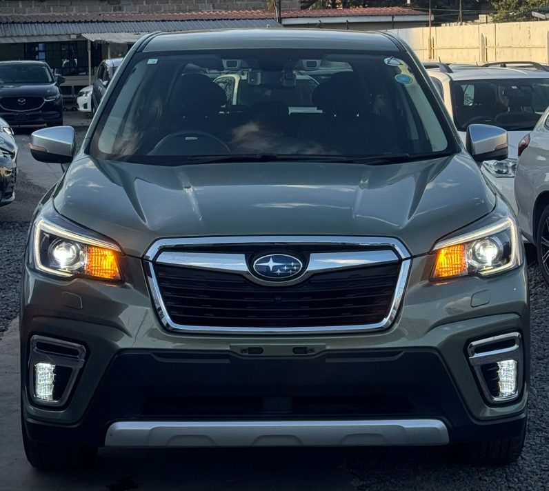 
								Subaru Forester full									