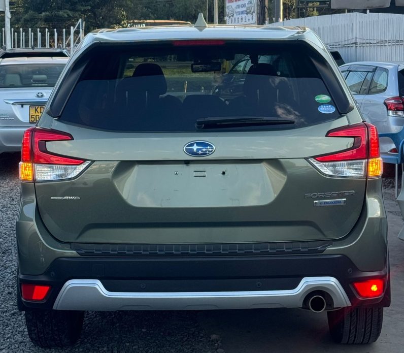 
								Subaru Forester full									