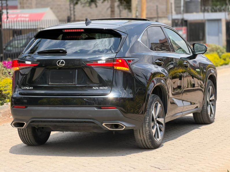 
								Lexus NX300 full									