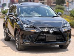 Lexus NX300