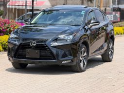 Lexus NX300