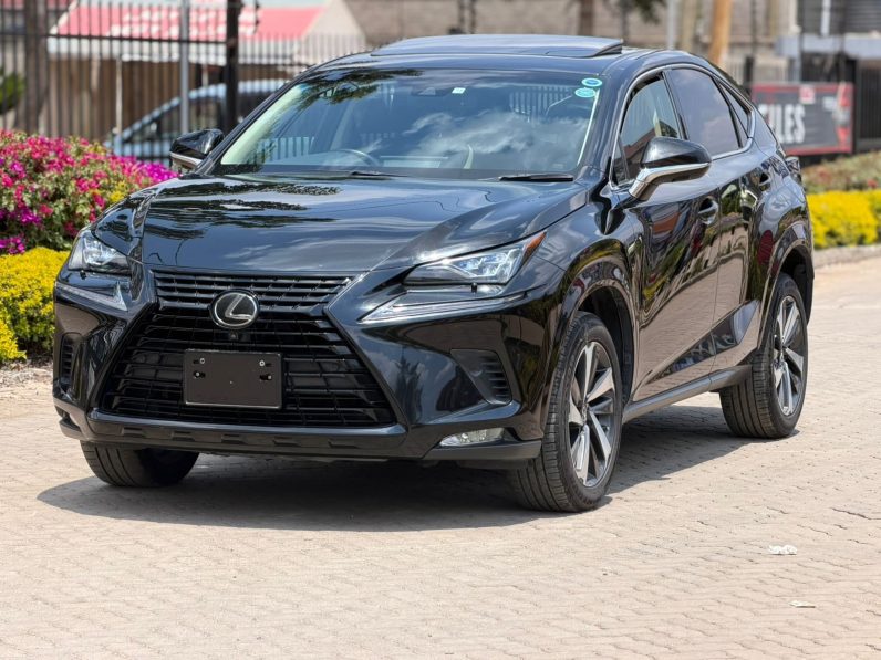 
								Lexus NX300 full									