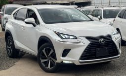 Lexus NX300