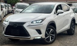 Lexus NX300