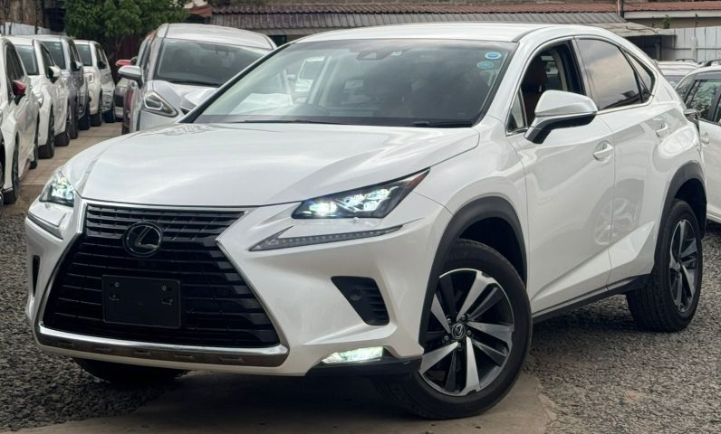 
								Lexus NX300 full									
