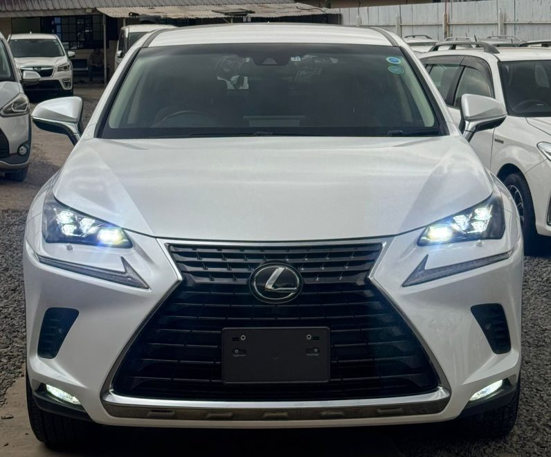 
								Lexus NX300 full									