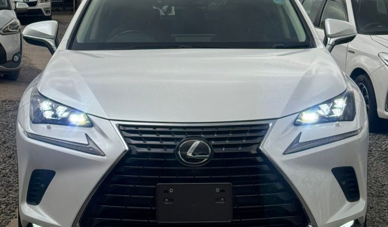 
								Lexus NX300 full									