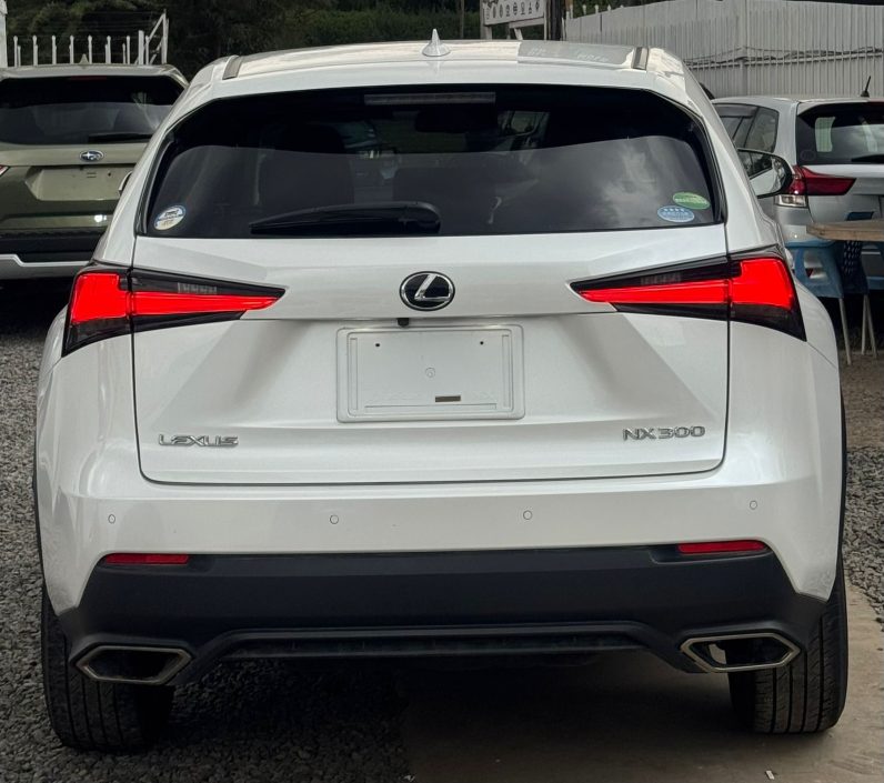 
								Lexus NX300 full									