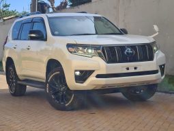 Toyota Land Cruiser Prado TX