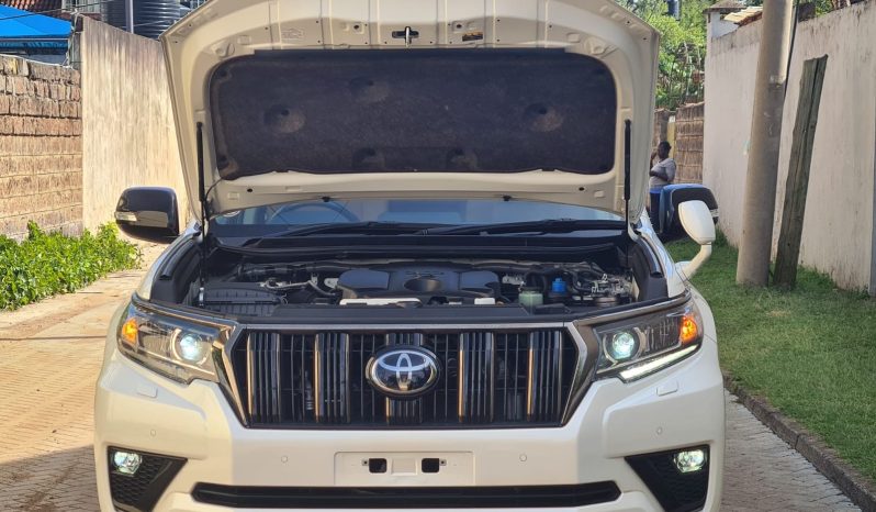 
								Toyota Land Cruiser Prado TX full									