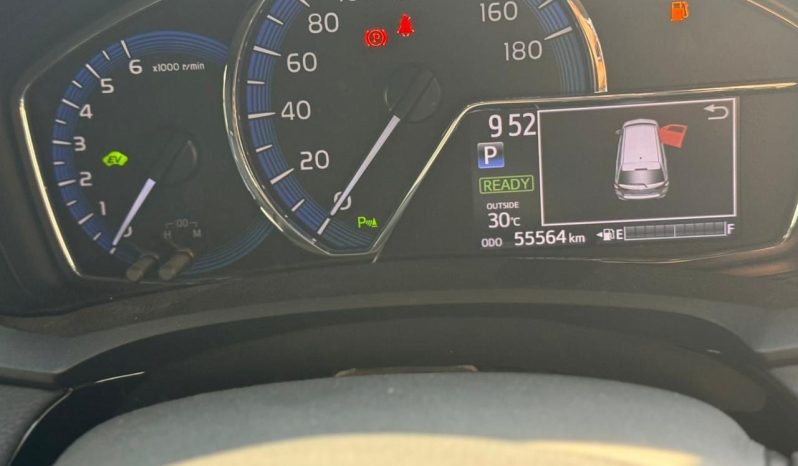 
								Toyota Fielder WXB full									