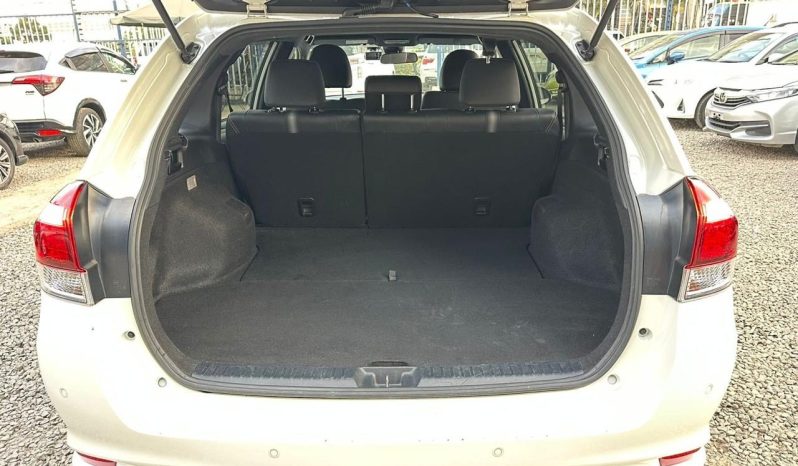 
								Toyota Fielder WXB full									