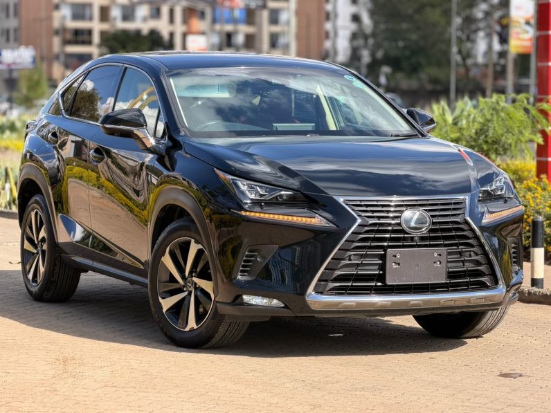 
								Lexus NX300 full									
