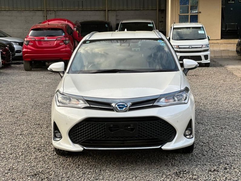 
								Toyota Fielder WXB full									