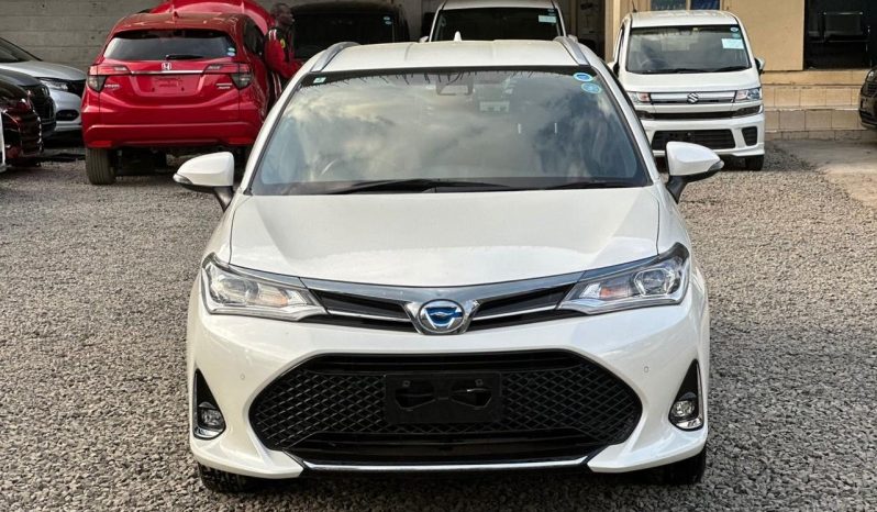 
								Toyota Fielder WXB full									