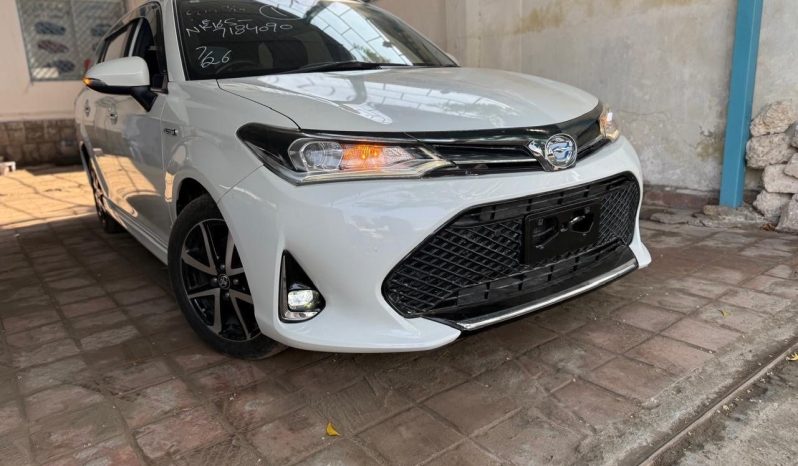 
								Toyota Fielder WXB full									