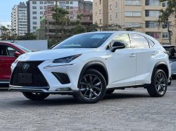 Lexus NX300