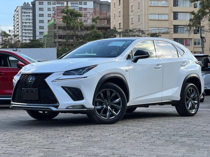 
								Lexus NX300 full									