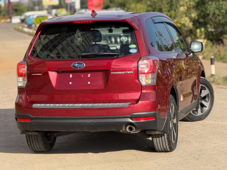 
								Subaru Forester full									