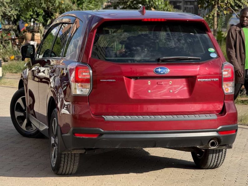 
								Subaru Forester full									